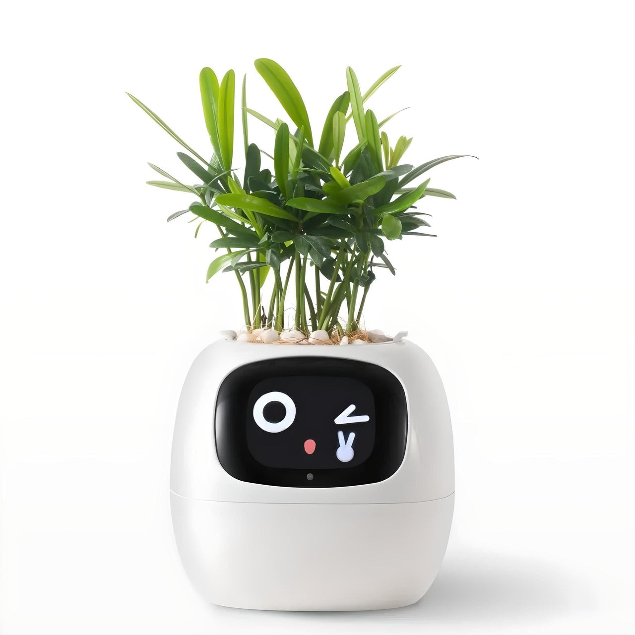 Ivy Smart Planter (Over 49 Emotional Expressions)