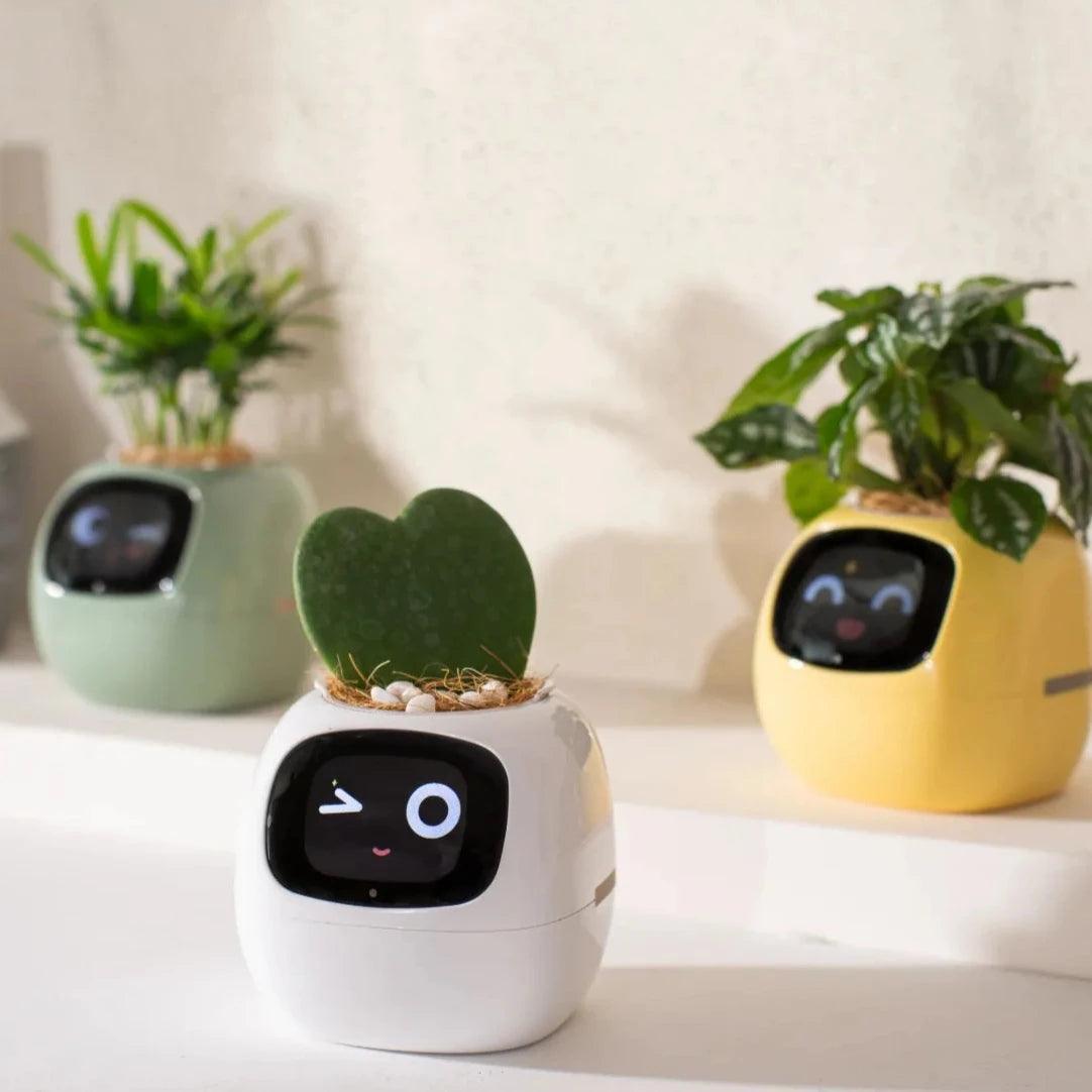 Ivy Smart Planter (Over 49 Emotional Expressions)