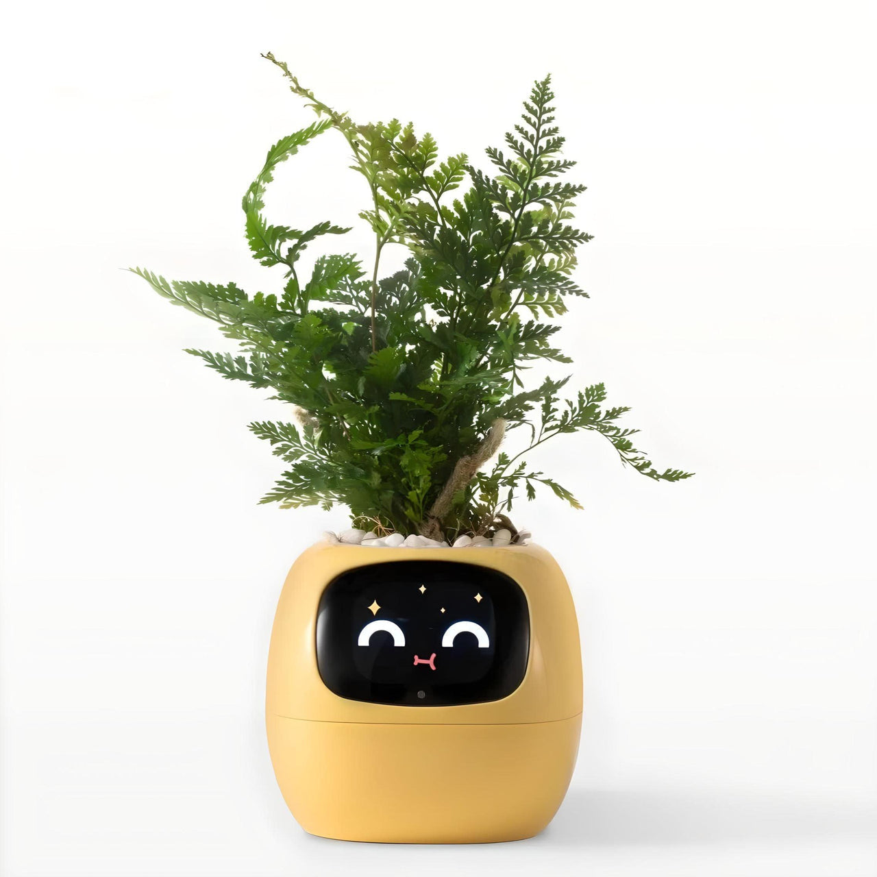 Ivy Smart Planter (Over 49 Emotional Expressions)