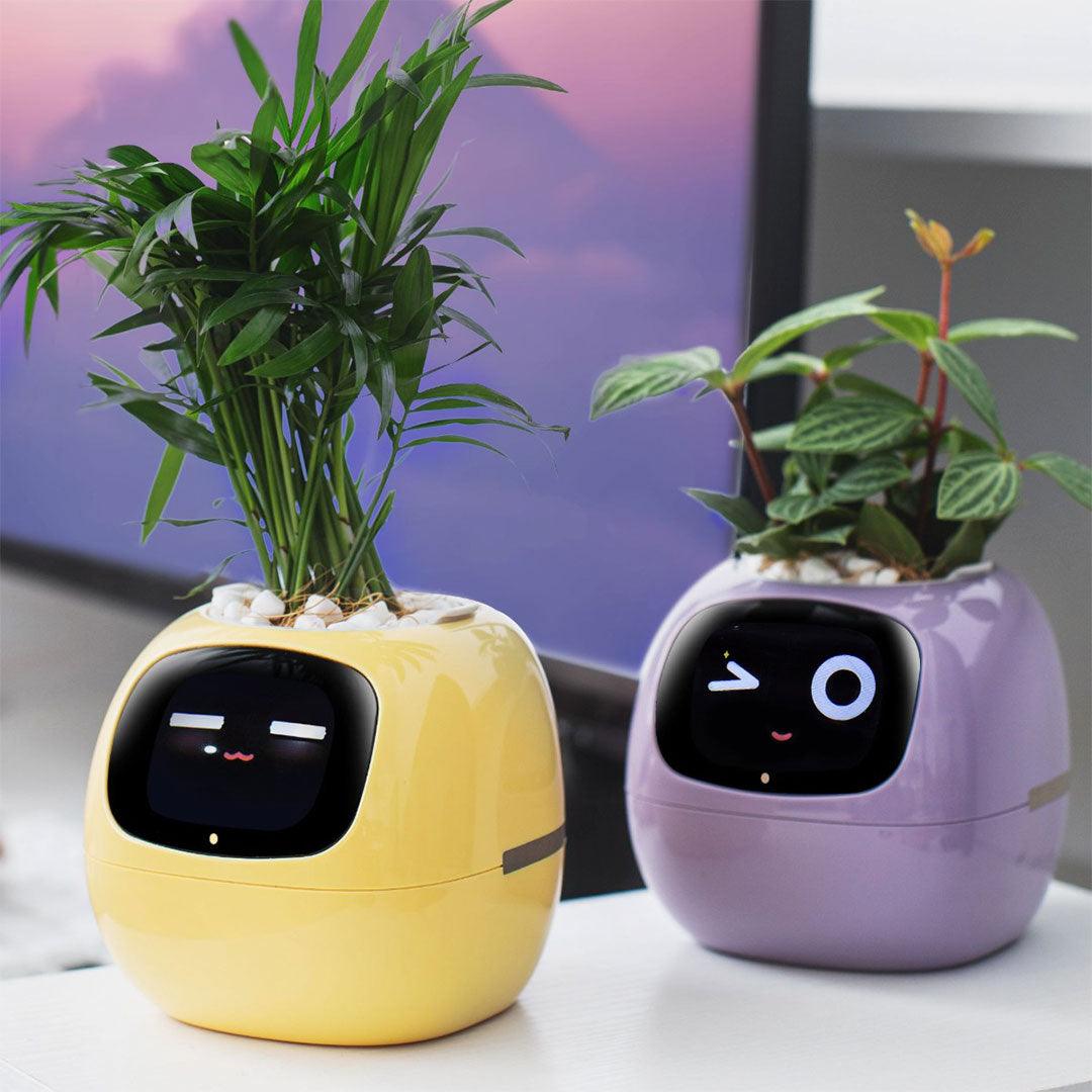 Ivy Smart Planter (Over 49 Emotional Expressions)