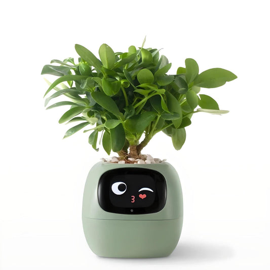 Ivy Smart Planter (Over 49 Emotional Expressions)