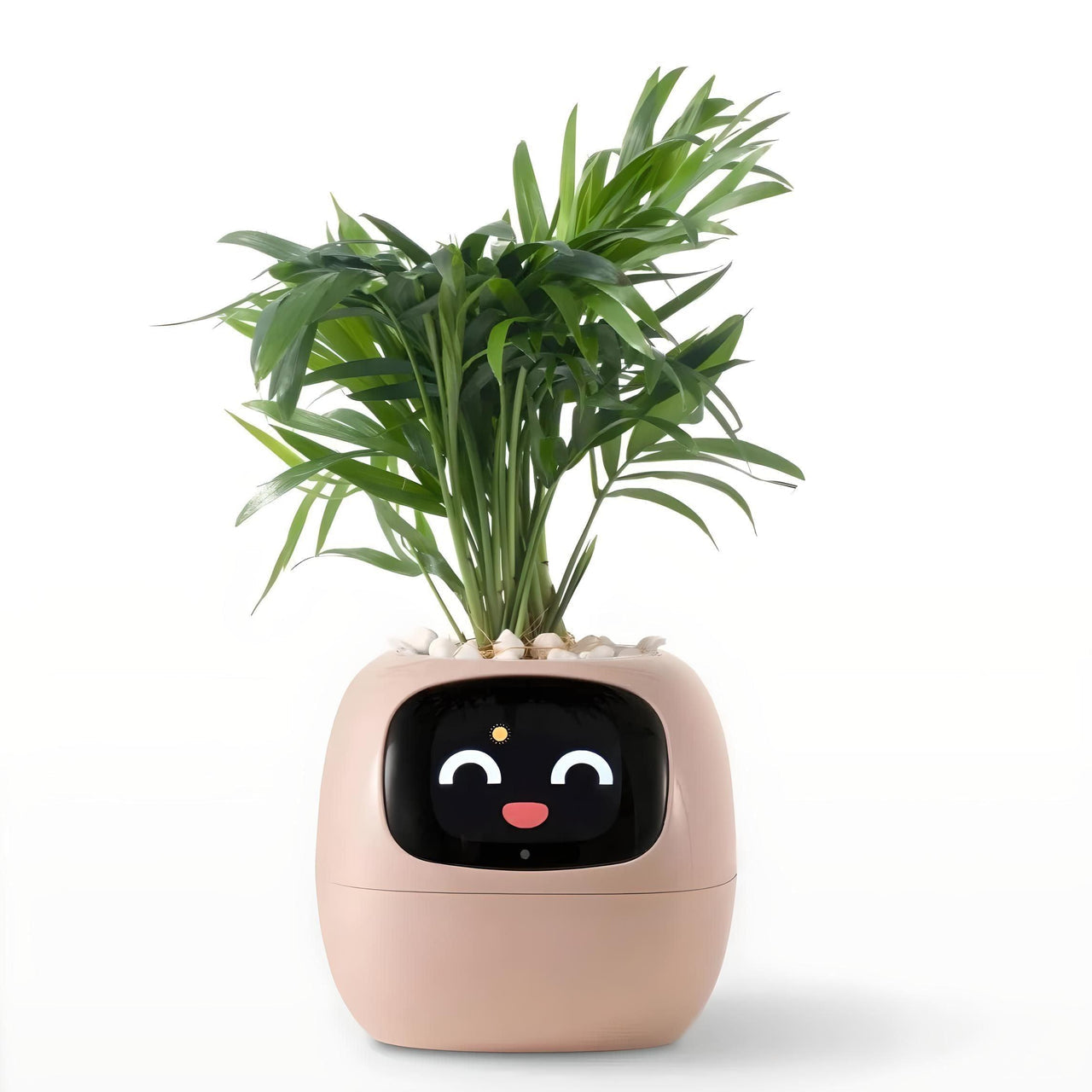 Ivy Smart Planter (Over 49 Emotional Expressions)