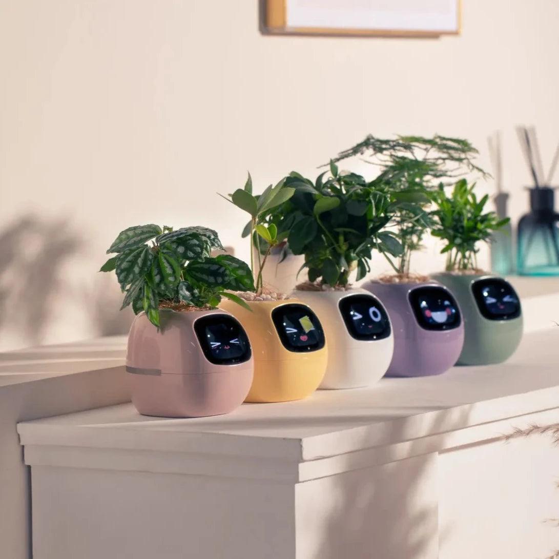 Ivy Smart Planter (Over 49 Emotional Expressions)